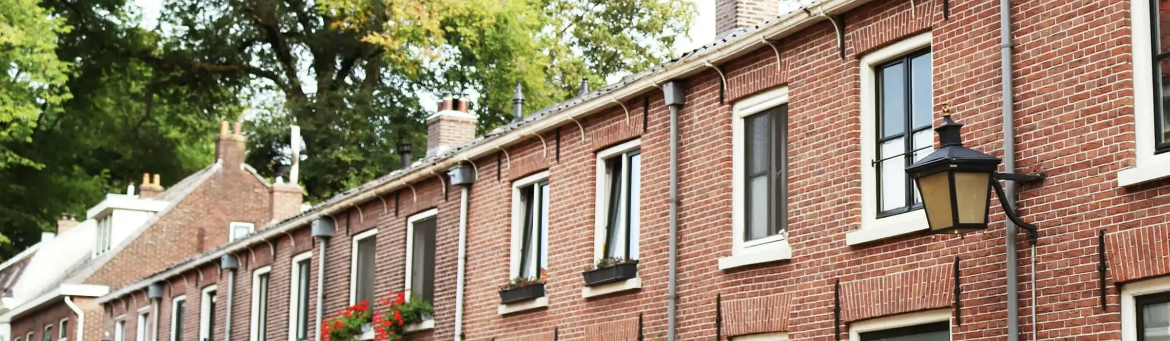 Zoekopdracht